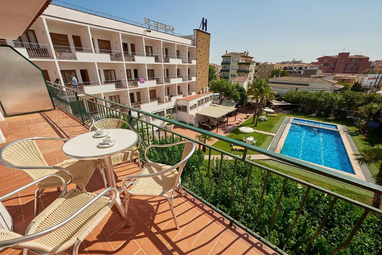 Checkin Flamingo Hotel L'Estartit