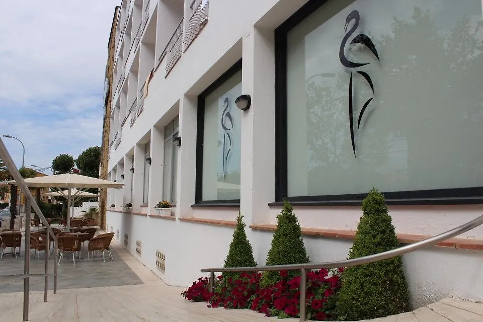 Checkin Flamingo Hotel L'Estartit